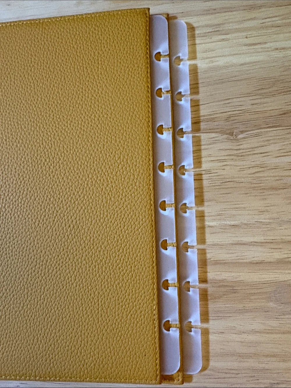 Jane’s Agenda Snap in Cover Saffron Yellow - Jr Discbound